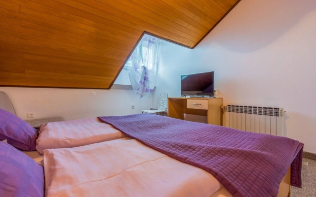 Colorful - Modern Apartments - A2 Ljubicasti