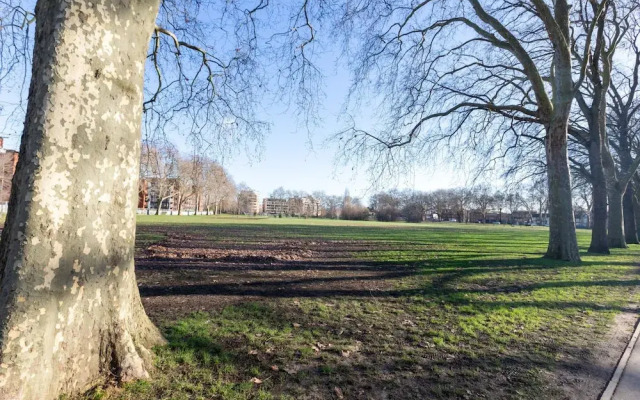 Serene and Spacious 1 Bedroom Garden Flat in Clapton