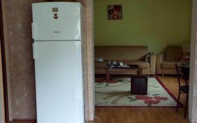 Guesthouse Megi on Robaqidze 6
