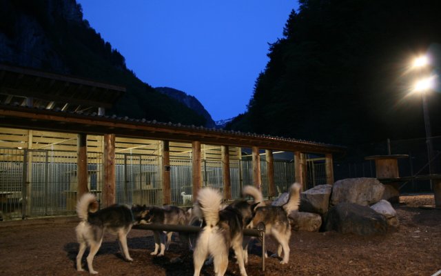 Hüttenhotel Husky Lodge