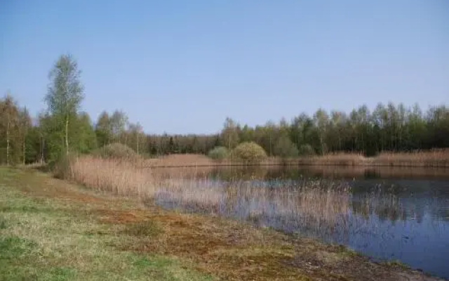Vledderstee