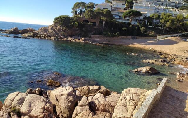 Cala Salions, Chalana III