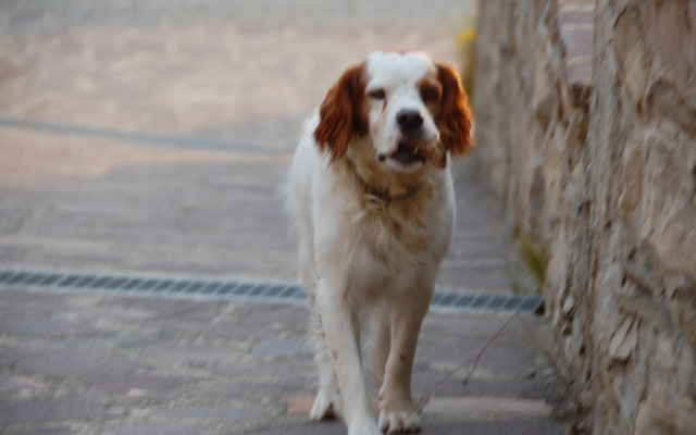 Agriturismo Casa Passerini a Firenze