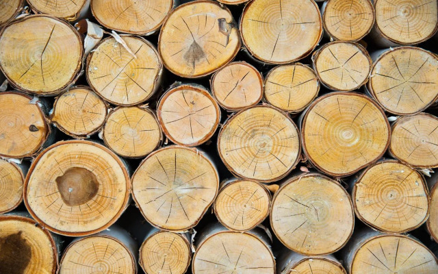 Hotel Indigo Traverse City by IHG