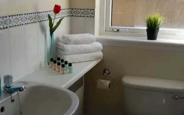 Jamaica Street Apartment