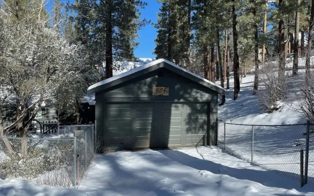 Dark Pine Retreat