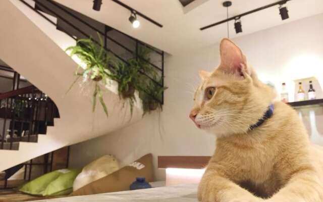 Cozycloud Backpackers Hostel