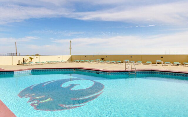 Phoenix 1144 by RedAwning