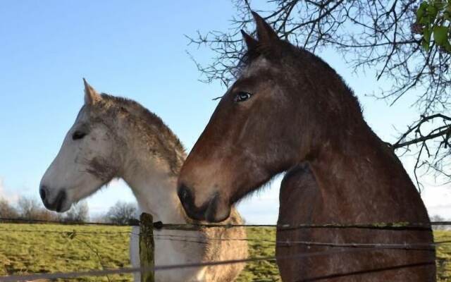 Le Moulin de Labique