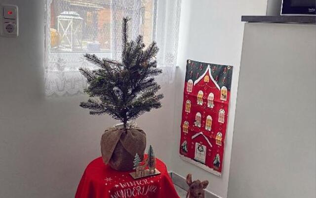 Beautiful 1-bed House in Altenau