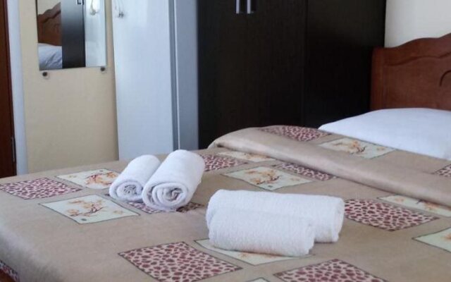 Mini-Hotel Aska