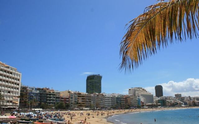 Aloysia by Coleus Apartments