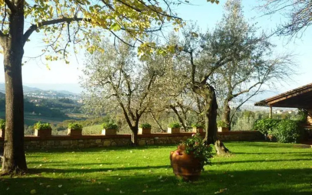 il mandorlo
