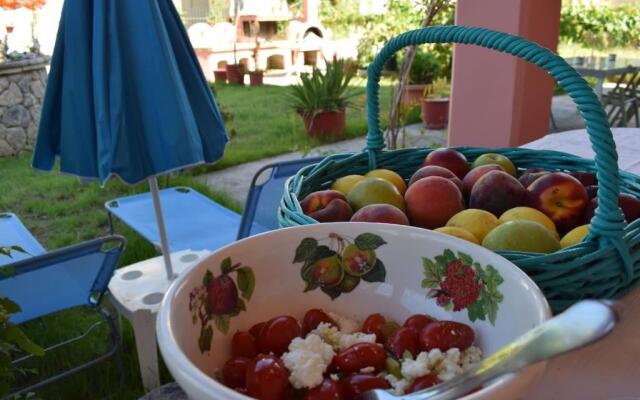Private Villa AKOBARA, 2km from city center