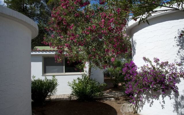 Villaggio Capo Vieste Camping