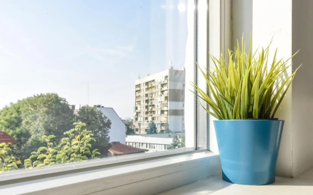 The Ivy House - A Cozy Attic near the City Center