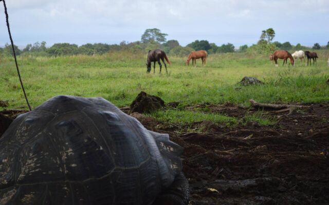 Royal Palm Galapagos, Curio Collection Hotel by Hilton