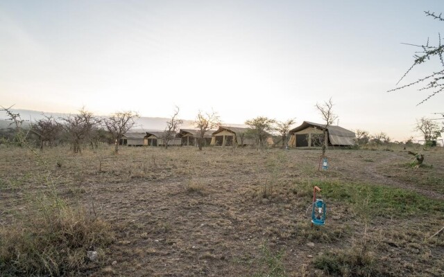 Serengeti Wildebeest Camp