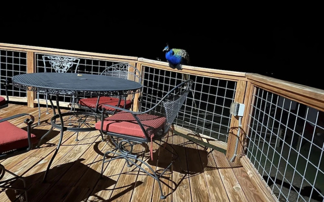 Wheels of Wonderment Twin Cabin 1