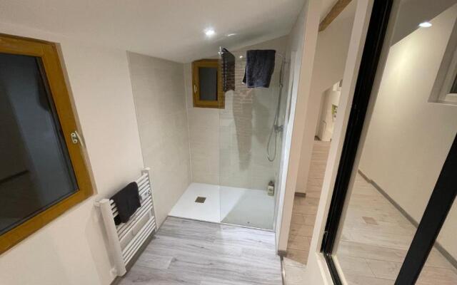 BELLEVUE Appartement sous les toits hypercentre climatisé