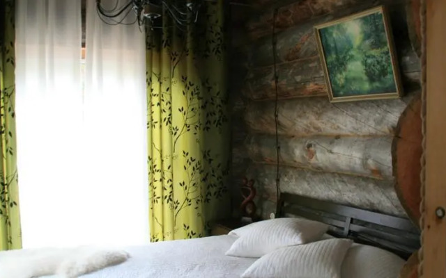 Сияние Севера