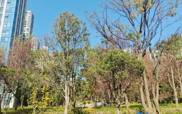 Huayu Yujian Homestay (Guangfu Road)