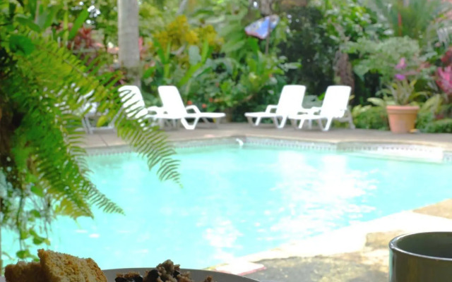 La Palapa Eco Lodge Resort