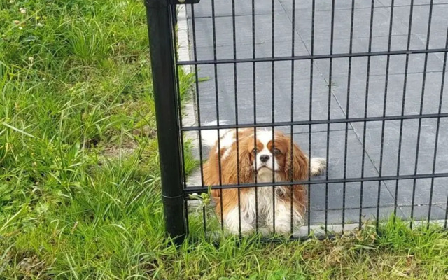 Holiday Home in Molenschot Near Nature Reserves