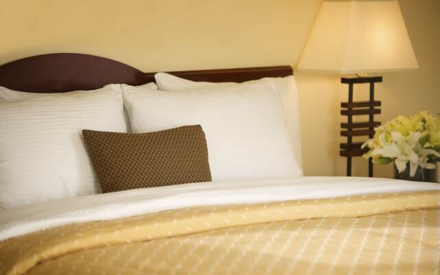 Larkspur Landing Extended Stay Suites Bellevue