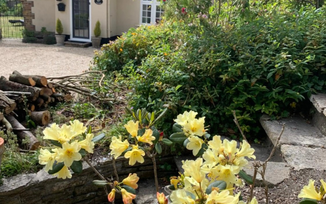 Tolpuddle Hideaway, Tolpuddle, Dorset