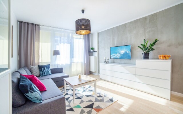 Little Home - Dexter 2