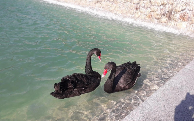 Apartment 30 m2 on Sergei Esenin 11