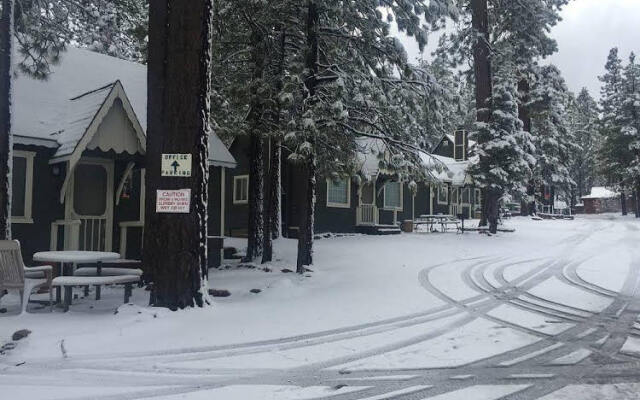 Cabin 5