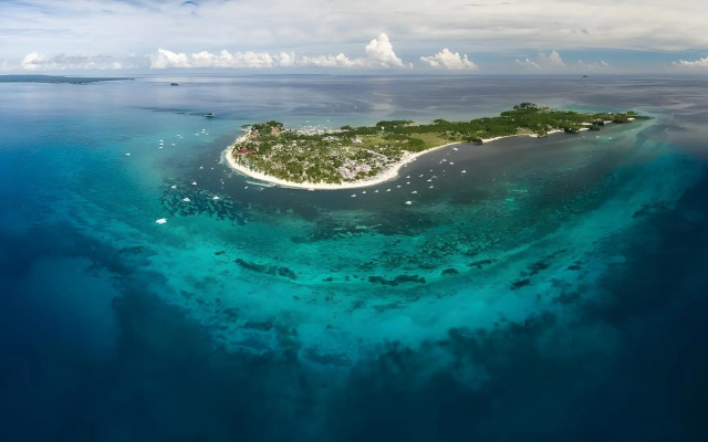 Ocean Vida Beach and Dive Resort