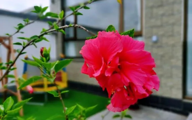 Beijing Tian Bian a boutique villa home stay – Outside – Beijing