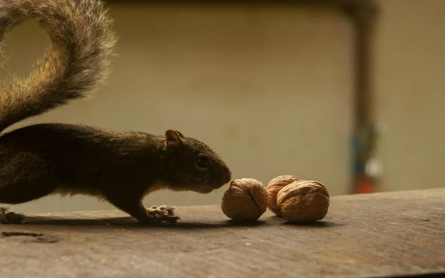 Pousada Locanda Belvedere