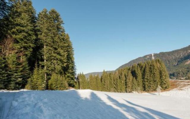 Chalet Alpendorf Dachstein West