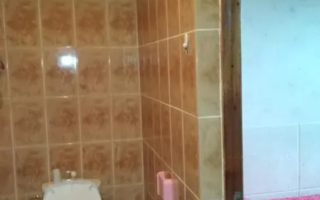 Pod palmoj