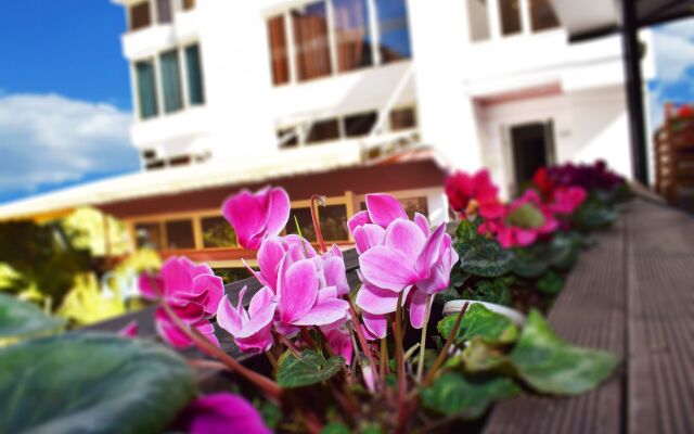 Royal Vila Hotel