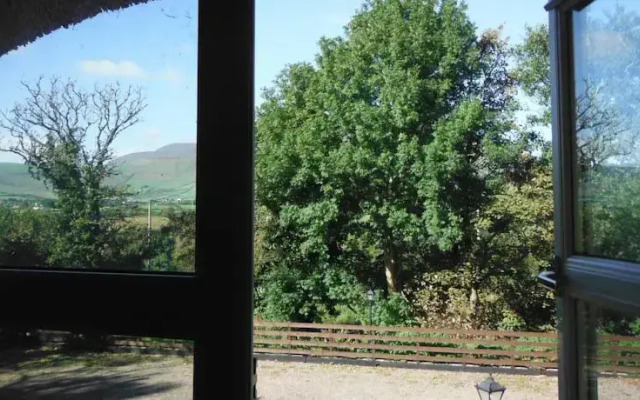 Paddys Palace Dingle Peninsula