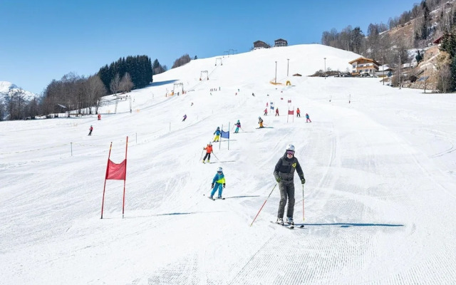 Holiday Home in Niedernsill Near ski Area