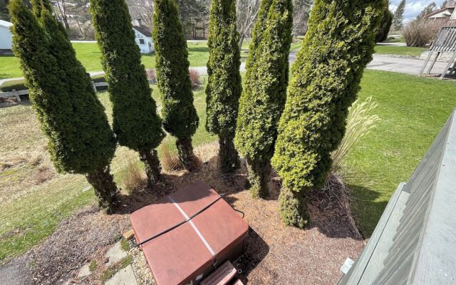 Ski Boots N' Bathing Suits