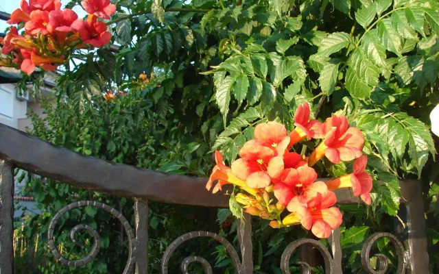 Holiday Home Casa Sole