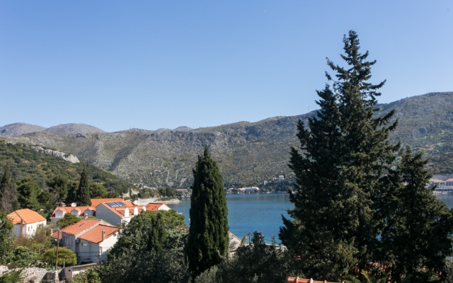 Apartment Marija - 50m close to the beach: A1 Zaton (Dubrovnik), Riviera Dubrovnik