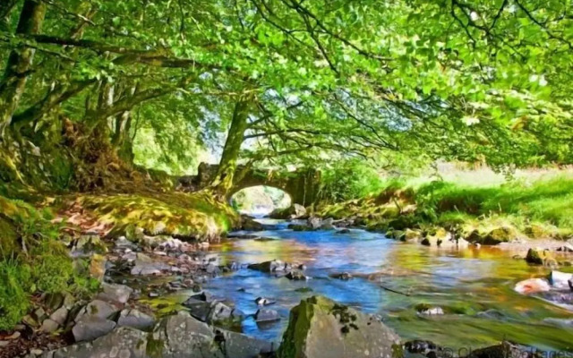 Westward Ho!me 5 Bedrooms