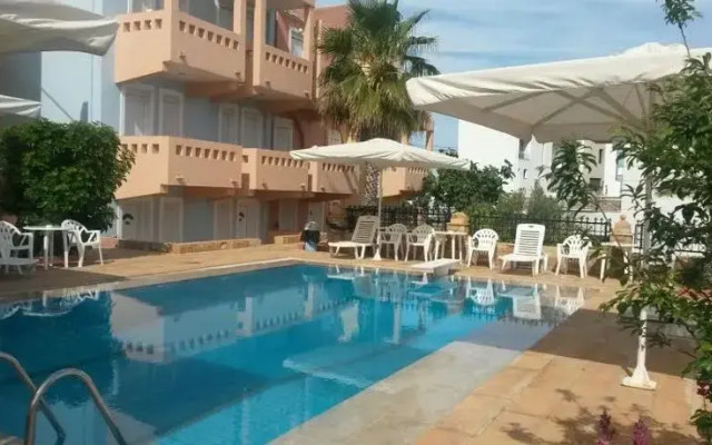 Toulipa 2