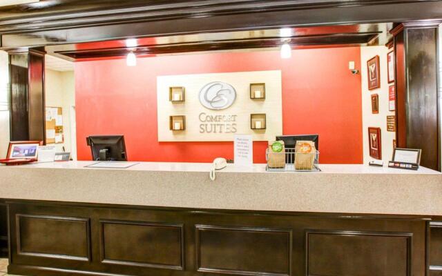 Comfort Suites At Rivergate Mall