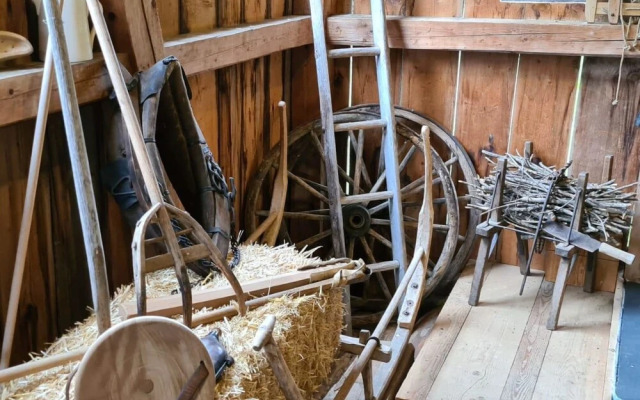 Karis Sch r Lenk in Lenk