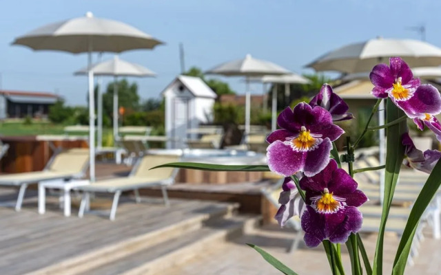 Agriturismo B&B Vista Parco