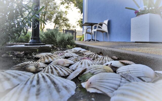 IL SOLE NEL MARE - Lido di Volano